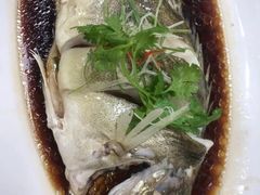 -丰收日(五角场店)
