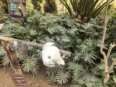 -南宫五洲植物乐园