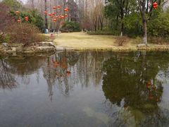 -习家池
