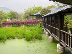 -西山人家·二十年老字号农家菜(旺山店)