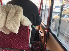 -张包铺(道外店)