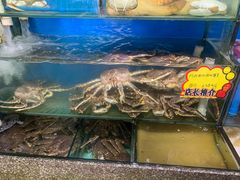 -蚝专家