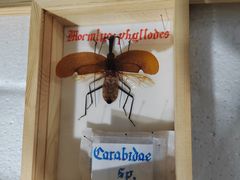 -广州市第二少年宫