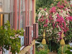 -品德宏·孔雀宴的发源地(金塔园店)