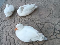 -中国农业博物馆