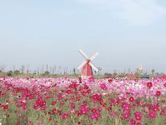 -南通鲜花小镇