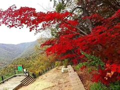 -五女山景区