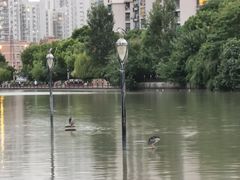 -苏州河梦清园环保主题公园