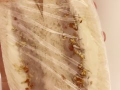 -啊噗吐呦现场烘焙(麦凯乐店)