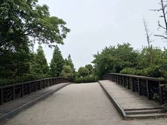 -九里河湿地公园