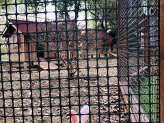 -上膳源有机农场