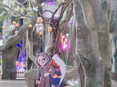 -横店影视城梦幻谷园区