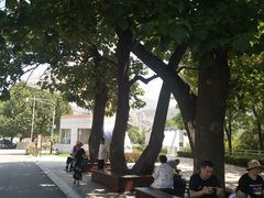 -燕塞湖鸟语林景区