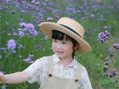 -北川巴拿恰