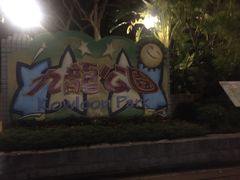 -九龙公园