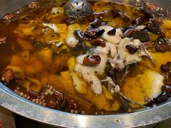 -鑫巴蜀小镇 · 水煮鱼专研店(玉桥店)