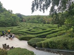-大屏嶂森林公园