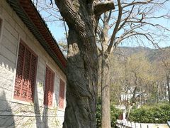 -青岛崂山太清宫