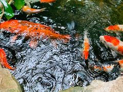 -聚缘堂·海鲜私房菜(松岭路店)
