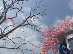 -首开·龙湖成都西宸天街