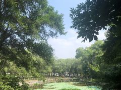-高尔山公园