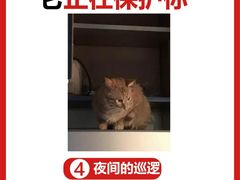 -瑞派福兴宠物医院犬猫全科·骨科·中西医结合(河东店)