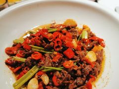 小炒黄牛肉-七菜馆·东北菜·蒸饺(文体路店)