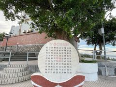 -板樟山森林公园