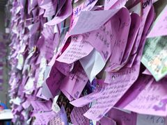 -雨霖祥和炖肉(南市店)