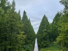 -黄海国家森林公园