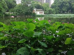 -沙市市中山公园