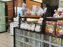 -十年猫舍·猫咪专门店(普陀店)