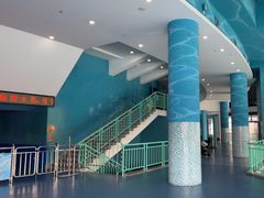 -海合安武汉极地海洋公园