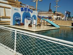 -秦皇岛乐岛海洋王国