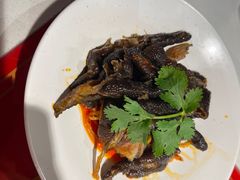 -禄鼎记·多口味酸菜鱼(侨鑫店)