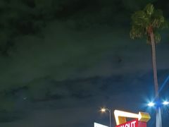 -In-N-Out Burger(LAX)