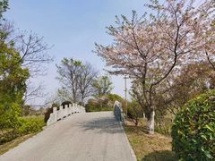 -梁鸿国家湿地公园