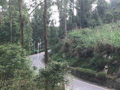 -火炉山森林公园