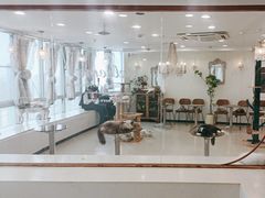 -共舞时光猫咖·狗咖(新街口店)