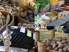 -乌村