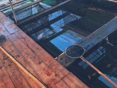 -蓝湾碧波·老字号·疍家非遗海上餐厅