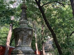 -潭柘寺景区