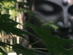 -杭州植物园