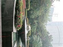 -岷山饭店-芝芝自助餐厅