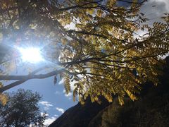 -叠溪松坪沟景区