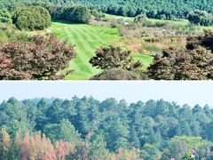 -阳光高尔夫俱乐部