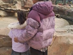 -北戴河集发农业梦想王国
