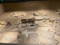 -洛阳周王城天子驾六博物馆