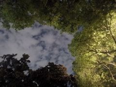 -湧金楼(西湖天地店)