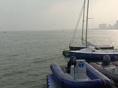 -碧海金沙